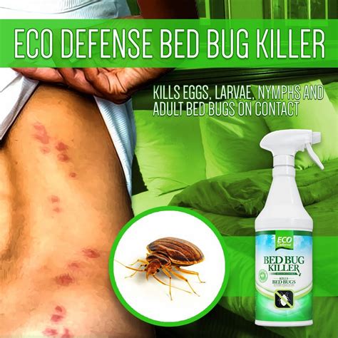 eco defense bed bug killer reviews 95