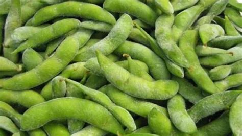 edamame in marathi  Significant folate content