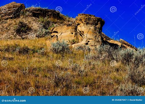 edmonton to dinosaur provincial park  Alberta Environment and Protected Areas