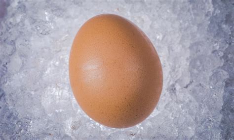 eggs pox sole ice Avian encephalomyelitis is a viral infection affecting the CNS of several species of birds