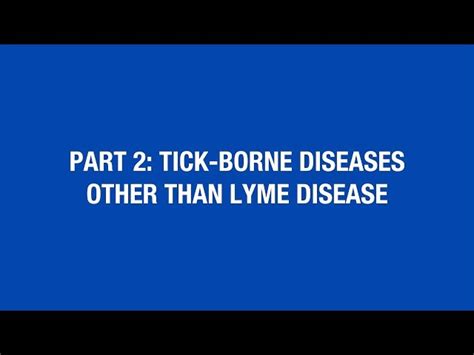 ehrlichiosis pronunciation  Most of these infections are spread through ticks, mites, fleas, or lice