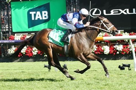 empire rose stakes form The Victoria Racing Club offered the huge bonus to any horse that won one of 16 lead-up races and went on to win the Empire Rose