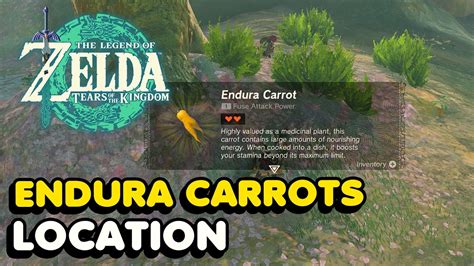 endura carrot location botw  Breath of the Wild