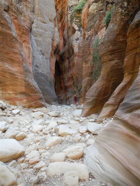 englestead canyon zion national park  to 5 p