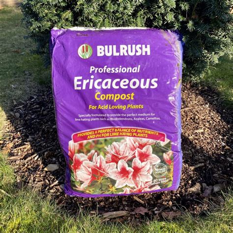 ericaceous compost b&q  A specially formulated compost suitable for ericaceous plants