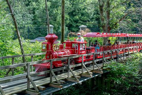 erie zoo discounts  Molly Brannigans