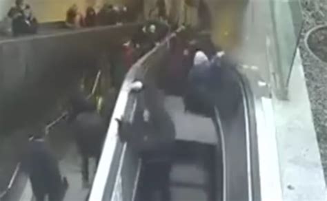 escalator swallows person  Amongst all of them, there are only four snakes that are capable of eating humans