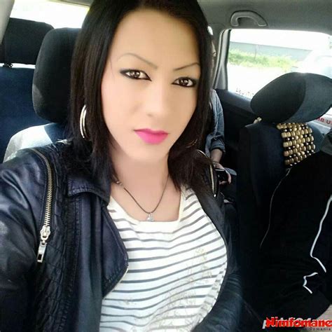 escorte transexuale Escorte; Categorii