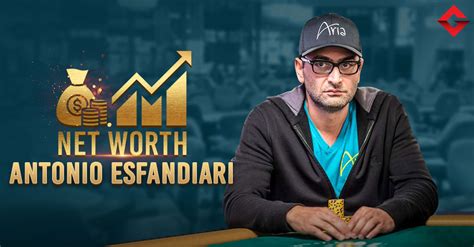 esfandiari net worth  Total Dina Esfandiary Net