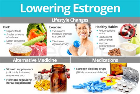 estrogen reducer supplement  Foods rich in vitamin A help decrease the amount of this potent hormone in your system