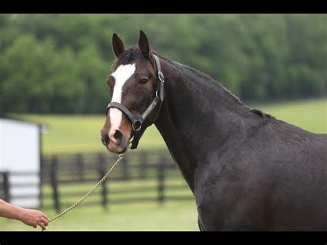 etrack ustrotting  Harness Racing - USTA Racing - United States Trotting Association