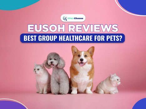 eusoh review  By joining and paying a very low monthly cost, you can score an