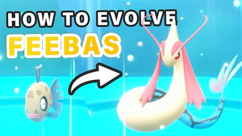 evolve feebas pokemon infinite fusion  Usually stuf like repel