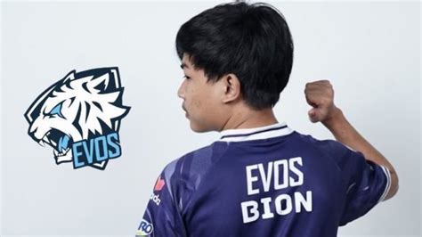 evos bion gaming@gmail