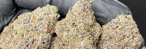 exotic zaza  ⅛ of Top Shelf Cannabis - $50-$75