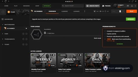 faceit stats by eloking com