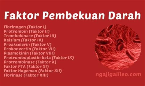 faktor faktor pembekuan darah FAKTOR-FAKTOR PEMBEKUAN