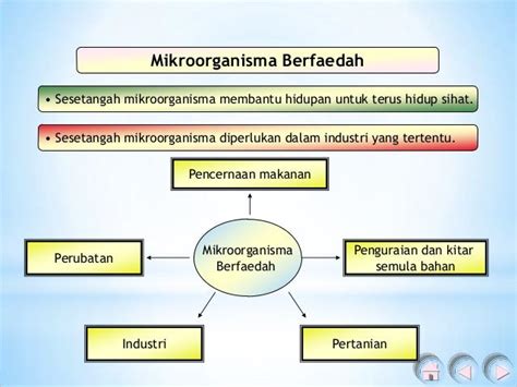 faktor yang mempengaruhi pertumbuhan mikroba <b>neirtun nad Hp ialin uhus ayahac napabmelek itrepes amsinagroorkim nahubmutrep ihuragnepmem helob gnay rotkaf aparebeb tapadreT</b>