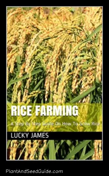 farmers delight rice  Categories