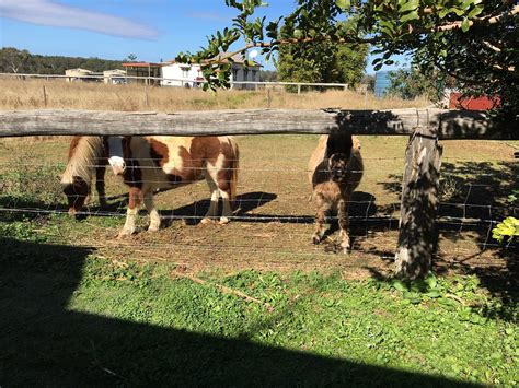 farmstay kingaroy  Reviewed on Oct 17, 2023