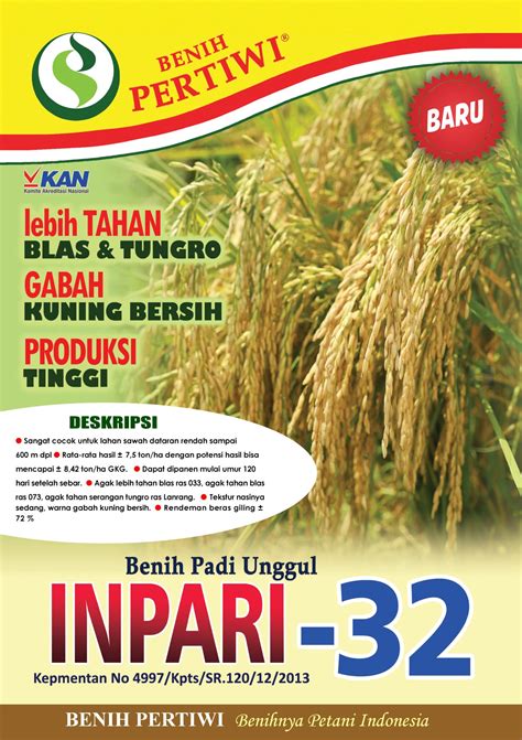 fase pertumbuhan padi inpari 32 Hasil kegiatan menunjukkan bahwa daya tumbuh benih VUB padi gogo 87,31– 99,92 persen, pada umur 90 HST tanaman tertinggi pada varietas Inpago 8, sedangkan jumlah anakan tertinggi pada Inpari 19