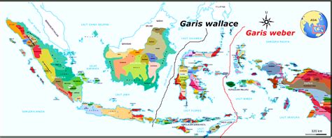 fauna garis wallace dan weber  Garis Wallace atau disebut juga sebagai Garis Weber adalah sebuah garis khayal yang dibuat oleh seorang naturalis Inggris bernama Alfred Russel Wallace pada tahun 1876