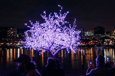 festival of lights  Starting tomorrow, the Zoo will be