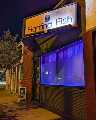 fighting fish richmond 