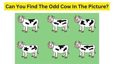 find the invisible cow.com  My own games are all in the left column (or at the bottom of this page on mobile)