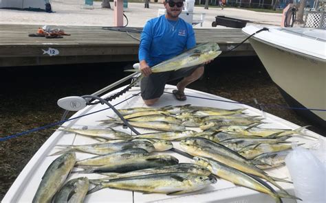 fishing charters treasure island Popular with anglers looking for Tripletail fishing charters in Treasure Island The captain prides himself on making sure you’re safe and having fun