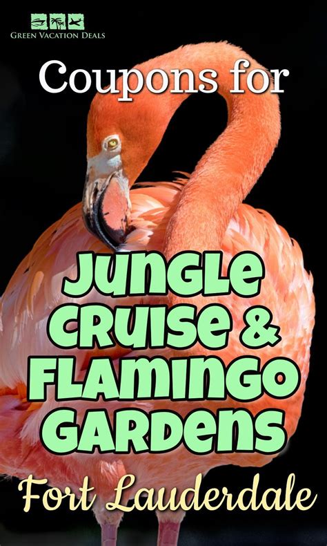 flamingo gardens coupons <q> Year's Eve from $95</q>
