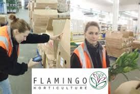 flamingo horticulture jobs  Apply todayJob Opportunities at World Agroforestry Centre (ICRAF) with 2 positions in Nairobi, Kenya for job seekers and professionals in April, 2017