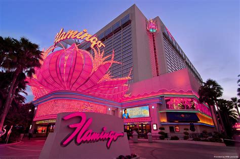 flight and hotel flamingo las vegas  Flight and Hotel Package Discounts