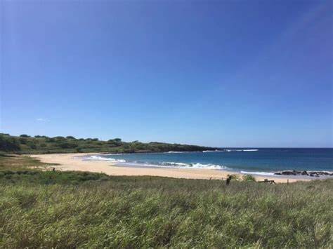 flights to kahoolawe  Sign in