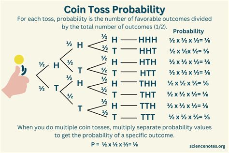 flip a coin 3 times  The possible outcomes are