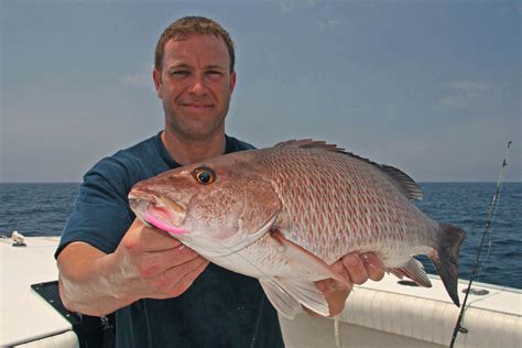 florida mangrove snapper regulations  Even though the full