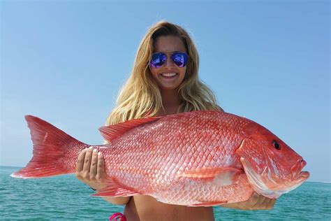 florida red snapper season 2022 atlantic  State waters in the Atlantic are open year-round