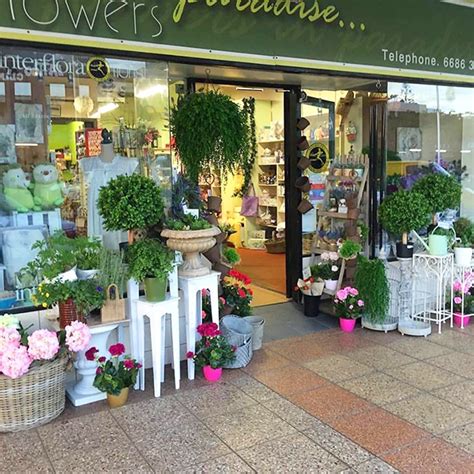 florists ballina nsw  Get Reviews, Location and Contact details