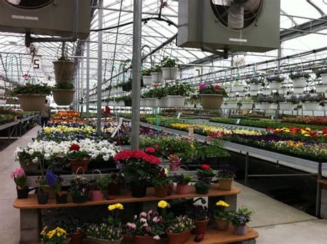 flower shops in lititz pa  0