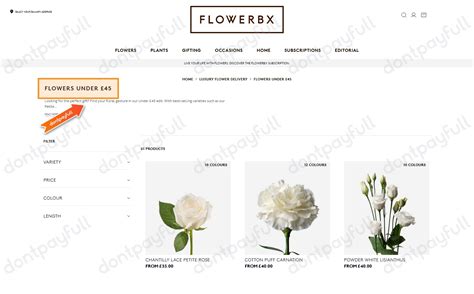 flowerbx voucher code com and enjoy your savings of November, 2023 now! Save up to 10% OFF with Black Friday FLOWERBX Discount Codes: 64 FLOWERBX Discount Codes and Vouchers tested and updated daily