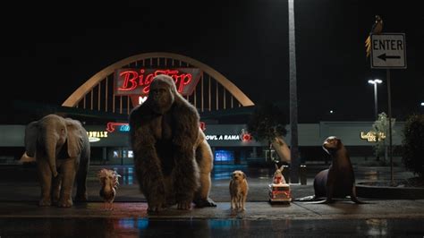 fmovie the one and only ivan  The movie begins by telling viewers about Ivan, a silverback gorilla who lives in Washington State and performs a circus act at a shopping mall alongside a circus ringleader named Mack