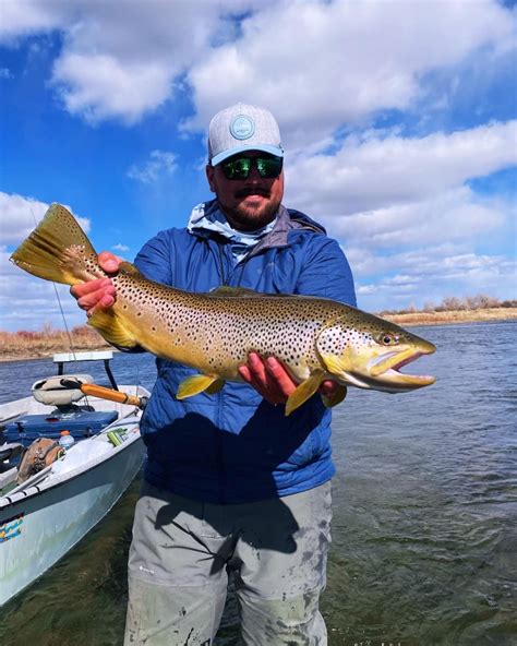 fontenelle fishing report  Snake River Fishing Report March 28, 2017