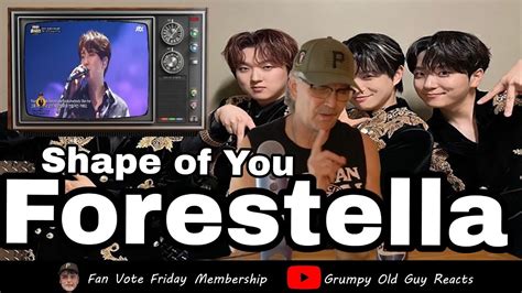 forestella shape of you mp3 download !!!Download Forestella - Shape Of You | English Song free ringtone to your mobile phone in mp3 (Android) or m4r (iPhone)