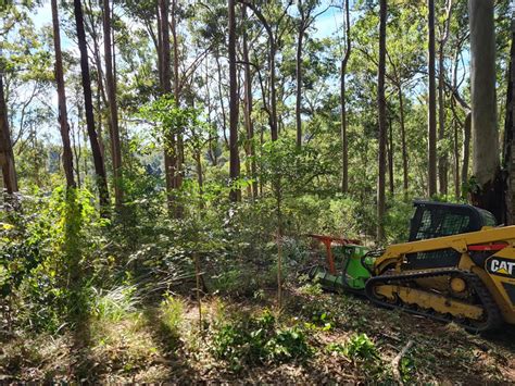 forestry mulchers sunshine coast  14/11/2023