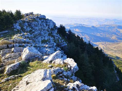 friddi fotografii  Comenzile primite pana la ora 20:00 vor fi livrate in ziua respectiva iar cele primite dupa vor fi livrate in ziua urmatoare