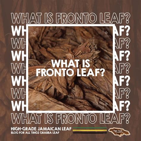 fronto leaves near me Light Fire Cured Fronto Leaf [R] Now Only $22