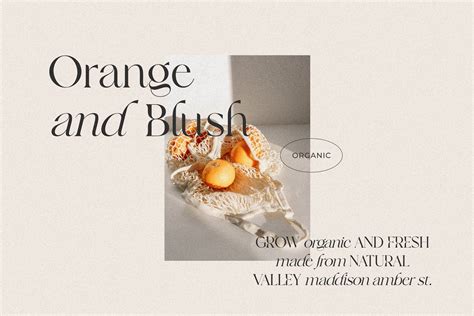 frunchy sage font  Frunchy Sage, a Modern Stylish Serif Family with Elegant Style