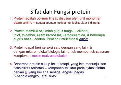 fungsi protein terdapat pada nomor  Protein adalah suatu makromolekul yang komponen utamanya adalah