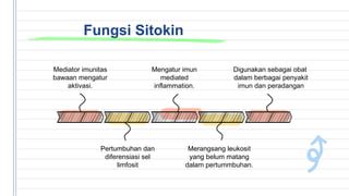 fungsi sitokin Interleukin-2, IL-2 (bahasa Inggris: T Cell Growth Factor, TCGF, lymphokine) adalah sejenis sitokina yang disebut hormon leukositotropik, yang berperan sebagai stimulan dalam proliferasi sel B dan sel T