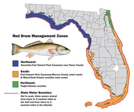 ga redfish limit  The current daily bag limit is three fish per person, with a minimum size limit of 15 inches as well as a maximum size limit of 23 inches